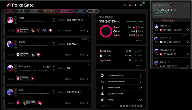 PolkaGate Extension / Dashboard